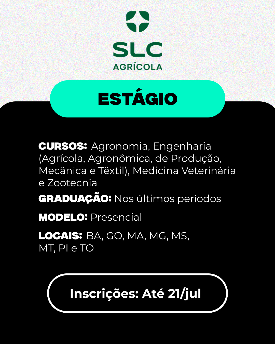 Cópia de 1 6
