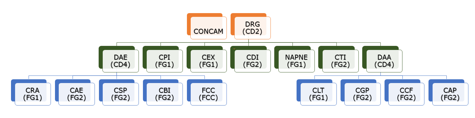 figura organograma IFSP GRU